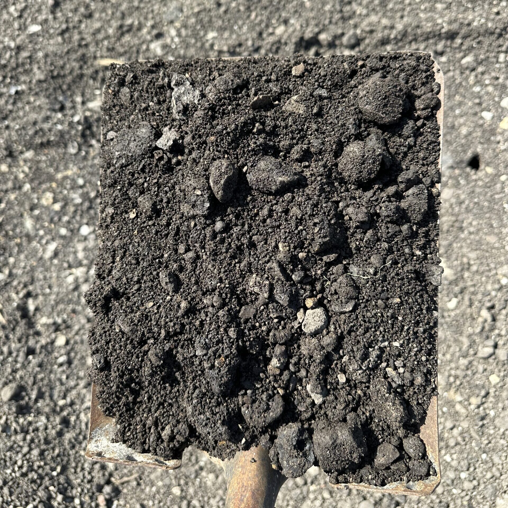 asphalt millings (close-up)