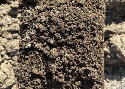 Screened Fill Dirt