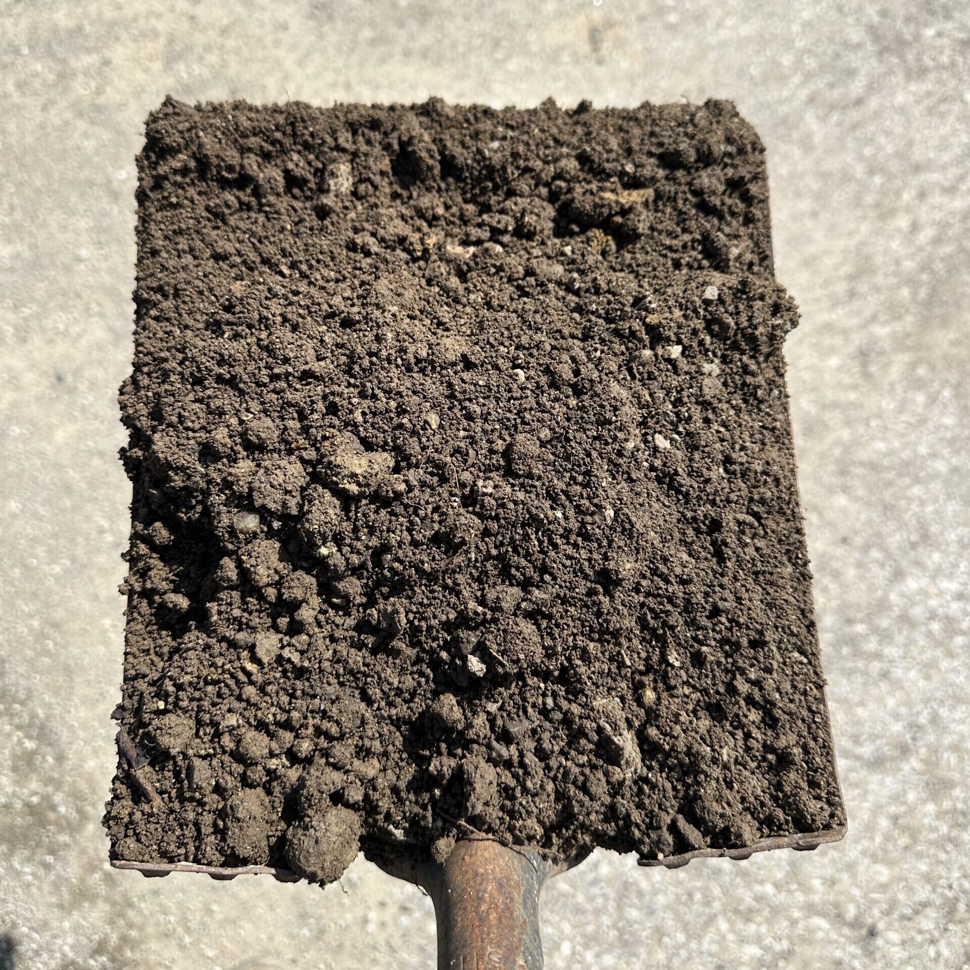 screened topsoil (close-up)